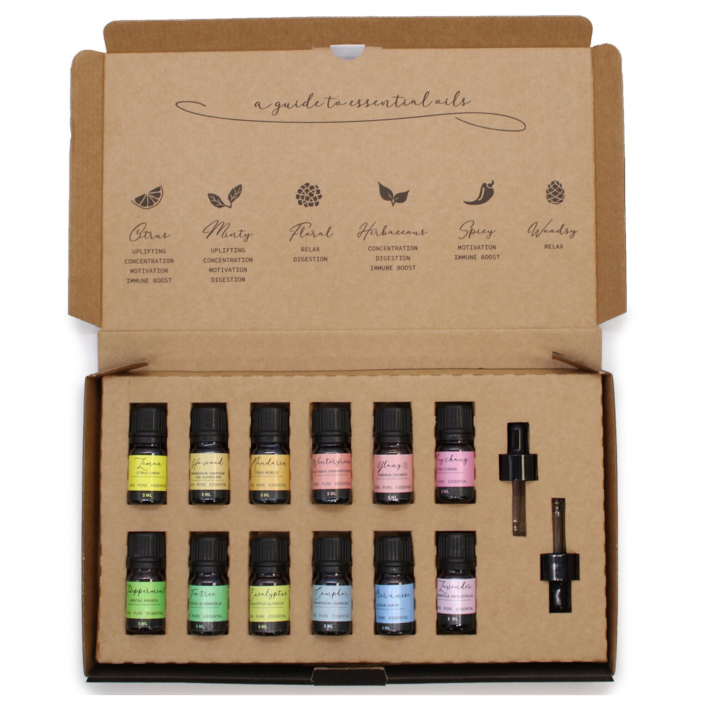 Ätherisches Aromatherapie-Öl-Set – Starterpaket