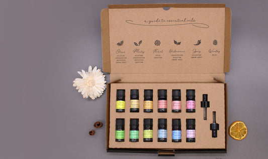 Ätherisches Aromatherapie-Öl-Set – Starterpaket (12×5 ml + 2 Tropfer)